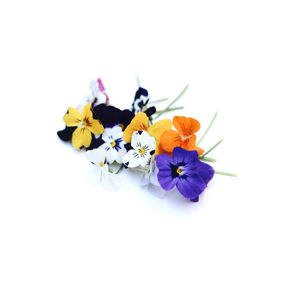 Flor de viola