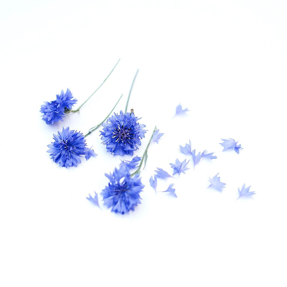 Blue Boy